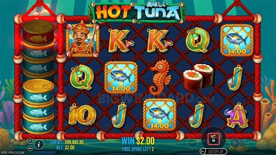Cashback Offer